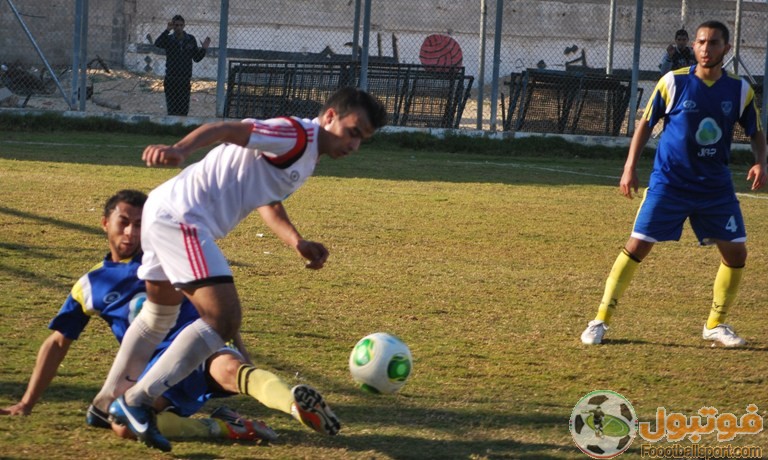 صور  تعادل مجنون  الذئاب 2  2 النمور